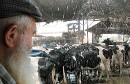 KfarChabad