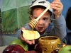 How Honey Is Made