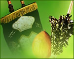 Sukkot & Simchat Torah 2025